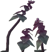 Blood Nettle
