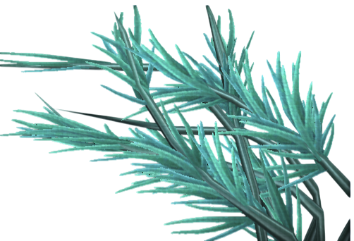 Tangled Pond Weed