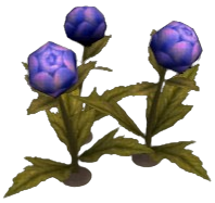 Meridian Globeplant