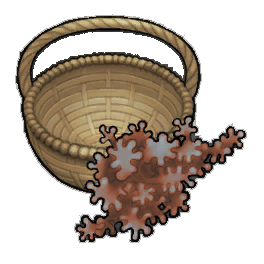 Hardy Geckoplant (activity)