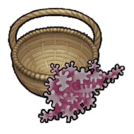 Medrior Geckoplant (activity)