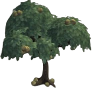 Pegasus Chestnuts