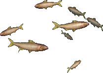 Mellow Sardines