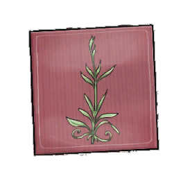 Trim Tarragon Seed Packet
