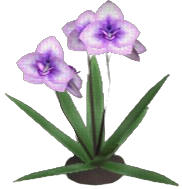 Burstbloom Orchid