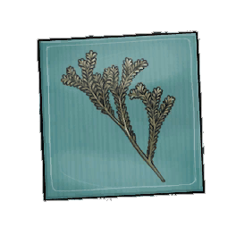 Demir Rosemary Seed Packet