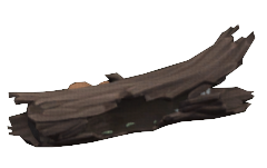 Rotting Log