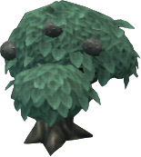 Gray Bitterfruit