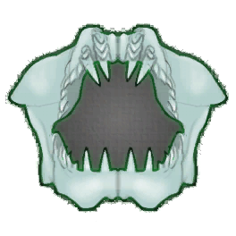 Great White Shark Jaw (Brewed)