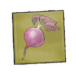Olgrave Beetroot Seed Packet