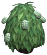 North Wind Haleberries