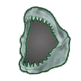 Intact Shark Jaw (Brewed)