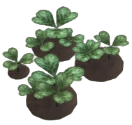 Zigzag Clover