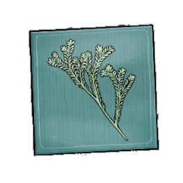Goze Rosemary Seed Packet