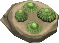 Common Limpet