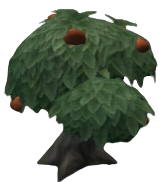 Lavazest Tangfruit