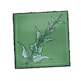 Trail Shadowmint Seed Packet
