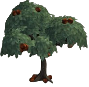 Backstone Chestnuts