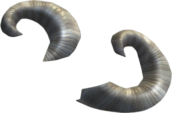 Chunky Rams Horn