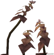 Ember Nettle
