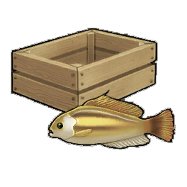 Goldsinny Wraddock