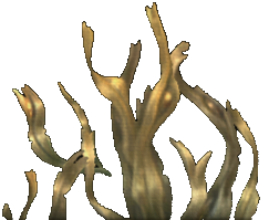 Bladder Wrack