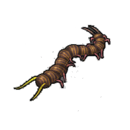 Debris Centipede