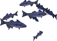 Tempest Cod