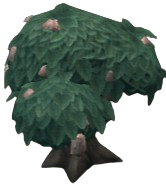 Salvo Bitterfruit