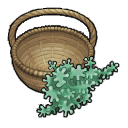 Squishy Geckoplant (activity)
