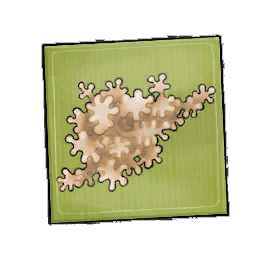 Sunblotch Geckoplant Seed Packet