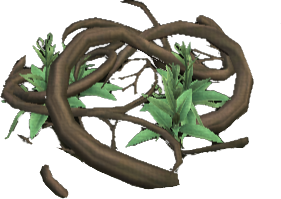 Over Grown Thicket