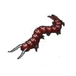 Elusive Centipede