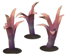 Ostentatious Leek
