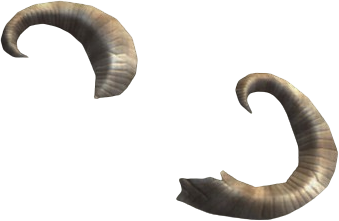 Sturdy Rams Horn