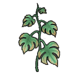 Luscious Creeper