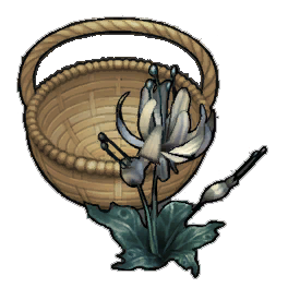 Cloudy Duskbloom (activity)