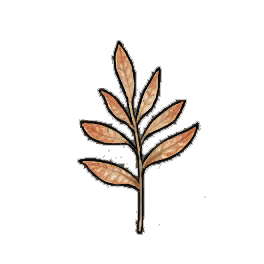 Skytear Sage