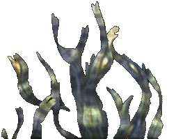 Channeled Wrack