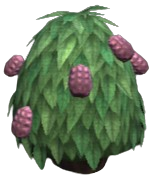 Zaffre Haleberries