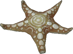 Nebula Starfish