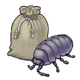 Furtive Louse