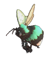 Maebee