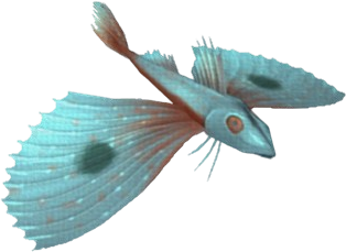 Bigeye Gurnard