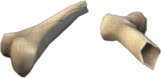 Cracked Femur Shard