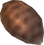 Basin Shell