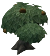 Thickskin Tangfruit