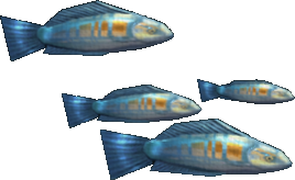 Corkwing Wraddock