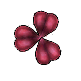 Amaranth Clover