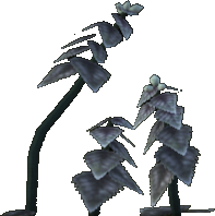 Ironleaf Nettle